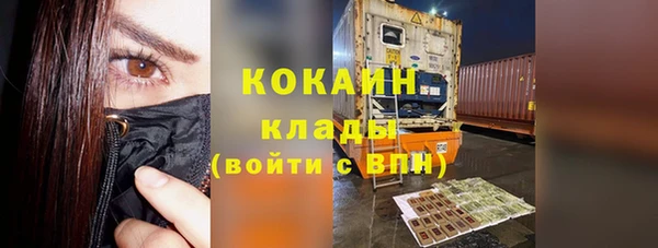 молекула духа Переславль-Залесский