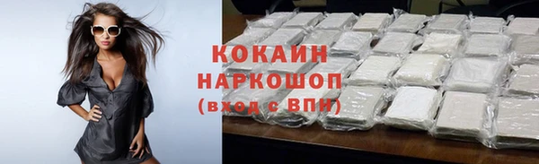 молекула духа Переславль-Залесский