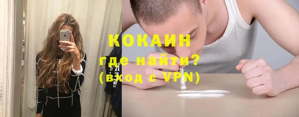 молекула духа Переславль-Залесский
