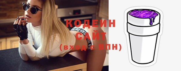 молекула духа Переславль-Залесский