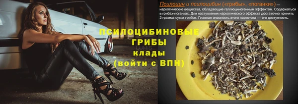 не бодяженный Пересвет