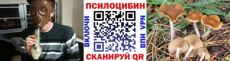 Псилоцибиновые грибы Cubensis  Кизляр 