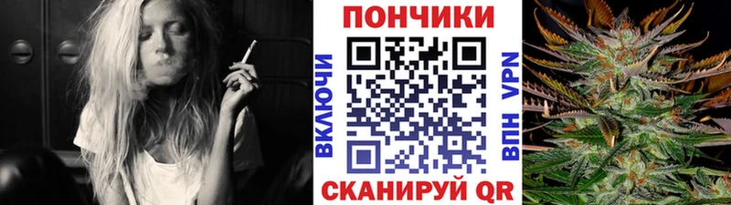 купить наркоту  ОМГ ОМГ маркетплейс  Шишки марихуана Ganja  Кизляр 
